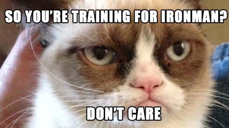 Grumy Cat Ironman Diary